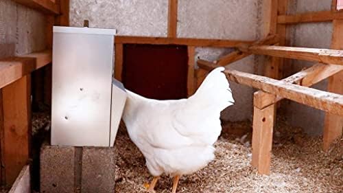 RentACoop Metal Trough Feeder with Lid & Rain Cover – Galvanized Steel, Gravity-Fed, Side View Window, Adjustable Grate for Easy Cleaning – Suitable for Chickens, Ducks, Poultry & More – 10lb Capacity - size: 10LB Capacity