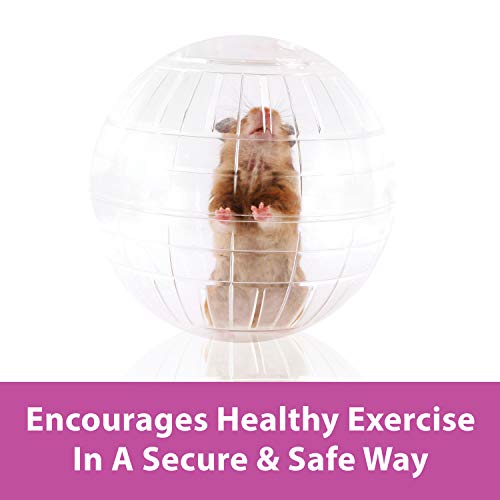 Kaytee 11.5" Clear Run-About Exercise Ball For Pet Rats & Chinchillas - color: Clear, size: 11.5"