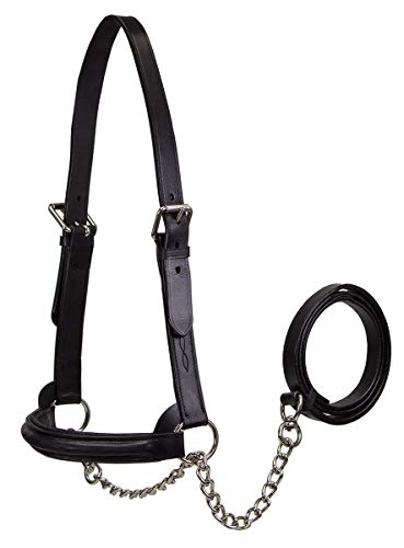 Derby Originals Premium Raised Padded Fancy Stitch Leather Cattle Show Halter with Matching Chain Lead - color: Black, size: Small (350-700lbs)