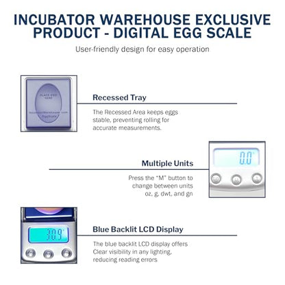 Digital Scale with Blue Backlit LCD Display - Accurate Humidity Measurement