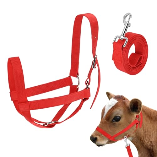 M METERXITY 1-Pack Adjustable Cattle Cow Calf Halter, 16.54"-20.47" Nylon Livestock Cow Halter with Leading Rope for Miniature Horse/Donkey/Goat/Cattle [Red] - color: Red, size: 16.54"-20.47"