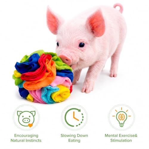 Snuffle Ball for Mini Pigs, Fun Enrichment Pig Toys (Rainbow) | for Small Animals, Soft Layers, Encourage Instincts, Slow Down Eating, Mental Stimulation - color: Rainbow
