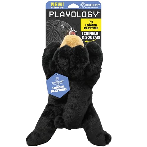 Playology Dog Toys | Plush Bear Stuffed Animal | Blueberry Scented Jumbo Squeaky Dog Toy | Plush Chew Toy for Large Dogs - size: Large, style: Bear
