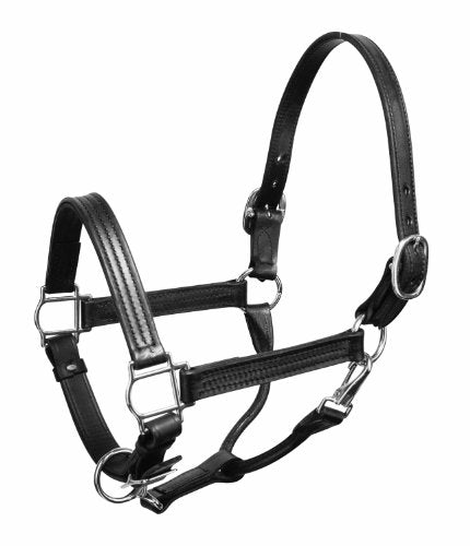 Perri's Premium 1-Inch Leather Show Halter, Cob - color: Black w/Chrome Hardware