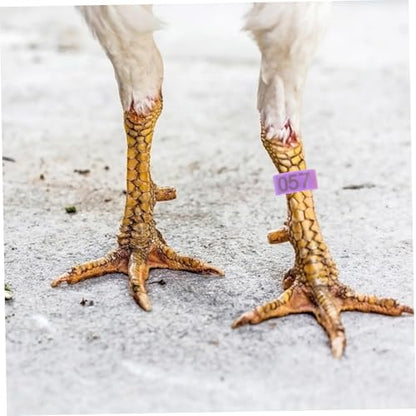 UPKOCH 120pcs Numbered Chicken Leg Bands Poultry Identification Rings for Efficient Tracking of Chickens Ducks Geese Boost Farm Management Productivity