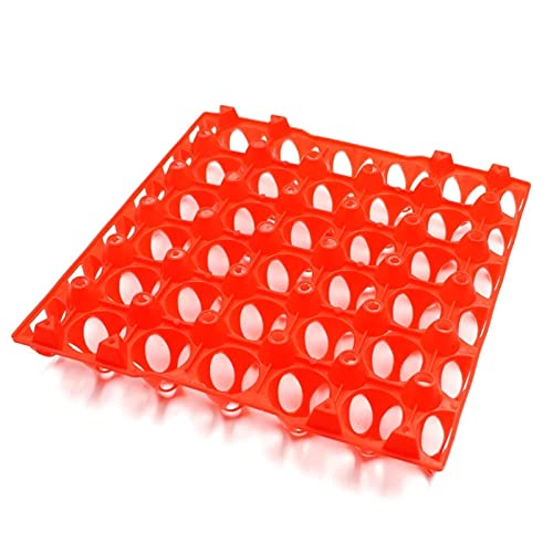 harayaa 20Pcs Egg Trays Egg Flats Transport Stackable Poultry Crate Incubator Egg Tray Chicken Egg Tray for Turkey Dove Pigeon Fridge Kitchen