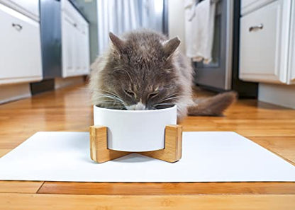 NAT & Jules Small White 6 inch Stoneware Ceramic and Wood Pet Bowl with Stand - color: White