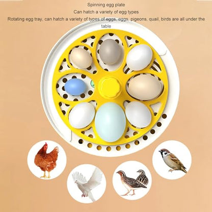 Mini Egg Incubator, 7W 4 Eggs Automatic Temperature Humidity Control Candler Poultry Hatching Machine Low Noise Tabletop Chicken Turner for Chickens Ducks Pigeons (Manual Turning) - size: Manual Turning