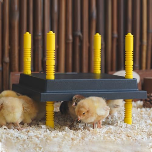 Eggluuz Chick Brooder Heating Plate, 12" x 12" Brooder Heater for Chicks with Adjustable Heights
