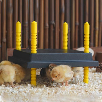 Eggluuz Chick Brooder Heating Plate, 12" x 12" Brooder Heater for Chicks with Adjustable Heights