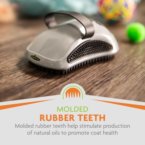 FURminator Curry Comb Grooming Brush for Short and Medium Coats