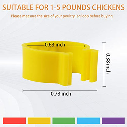 100Pcs Chicken Leg Rings with 5 Color, 16mm Numbered Chicken Identification Leg Bands Clip Poultry Ankle Bands for Bantam, Duck, Guinea and Medium Birds - size: 16mm