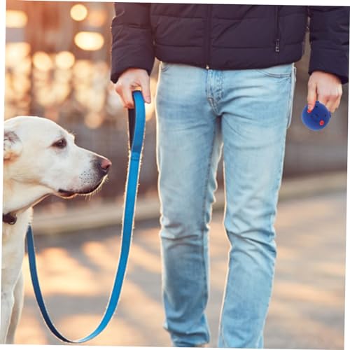 BESPORTBLE Cartoon Pig Chewing Toy for Dogs Squeaky Pet Toy for Puppies for Mental Safe Material for Teething and Playtime