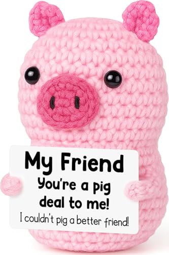 Mini Funny Pink Pig Best Friend Friendship Birthday Gifts for Women Men | Back to School Gift for College Student,Positive Handmade Crochet Gift for Friends Female Girl,Encouraging Pick Me Up Gift - style: Friend