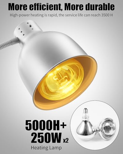 Food Heat Lamp, Heating Lamp with Flexible Arm, 250W Bulb x 3-5000 Hours Rated, Commercial Food Warmers for Buffet, Parties, Fast Food, (Sliver) - color: Sliver, size: Double-Head