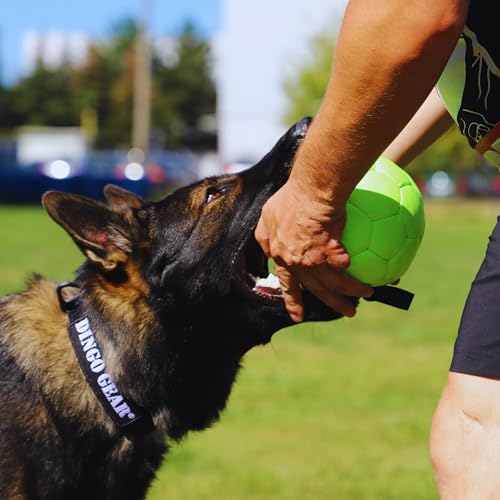 Dingo Gear Dog Ball with 1 Handle, Faux Leather, Green 7in - color: Green Ball, size: 7"