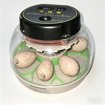 Large Egg Turner Accessory for Kebonnix incubators – Holds 9 Duck Eggs and Turkey Eggs, Automatic Rotating Tray (Grey) - color: Grey