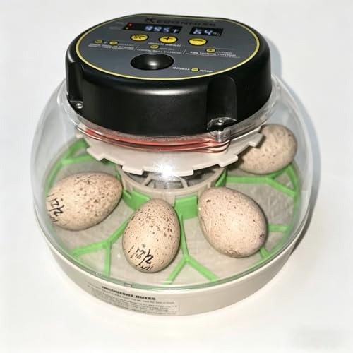 Large Egg Turner Accessory for Kebonnix incubators – Holds 9 Duck Eggs and Turkey Eggs, Automatic Rotating Tray (Mint Green) - color: Mint Green