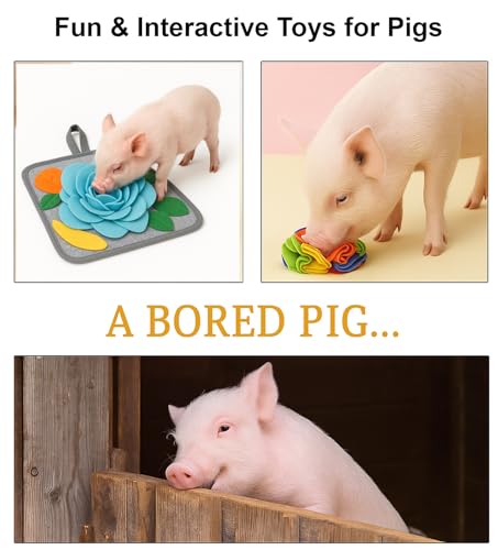 Pig Snuffle Mat and Snuffle Ball for Pigs – Pig Enrichment Toys for Mini Pigs, Potbellied Pigs & Farm Use – Interactive Foraging & Rooting Toy, Slow Feeding Pig Toys Accessories