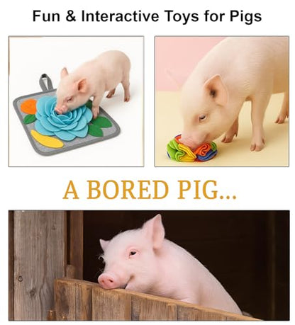 Pig Snuffle Mat and Snuffle Ball for Pigs – Pig Enrichment Toys for Mini Pigs, Potbellied Pigs & Farm Use – Interactive Foraging & Rooting Toy, Slow Feeding Pig Toys Accessories