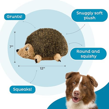 Outward Hound Hedgehogz Stuffed Dog Toy – Soft Plush Hedgehog, Grunts & Squeaks, Large, 12" x 6" x 7" - size: Large (Pack of 1)