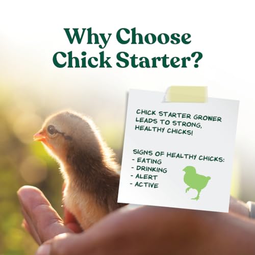 Manna Pro Medicated Chick Starter Grower, Crumbled Chick Feed with Amprolium, Complete Nutrition for Young Chickens, Supports Healthy Growth and Coccidiosis Prevention, 6-Pack of 5 lb Bags - size: 5 Pound (Pack of 6)