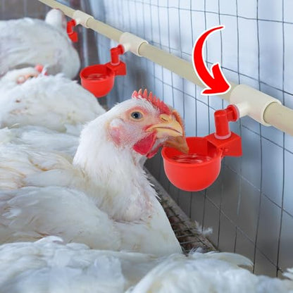 (6 Pack) Chicken Waterer PVC Tee Fittings For Threaded Poultry Watering Cups - Schedule 40 PVC 1/2 inch Slip X 1/2 inch Slip X 1/8 inch FPT