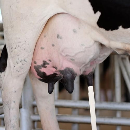Silicone Dairy Cow Milking Tube Food Grade Milking Machine Hose Connector for Cattle and Sheep Electric Milker Accessories Suitable for Farm Use