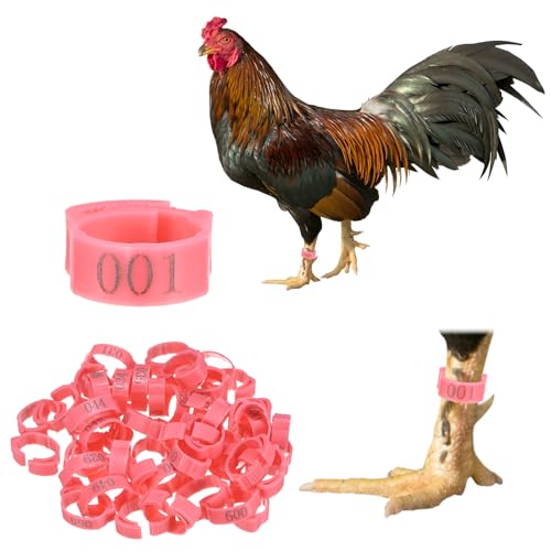 Generic 50-Pack Adjustable Chickens Leg Bands, 17-22 mm Plastic Poultry Identification Chicken Leg Rings for Turkey/Duck/Goose/Chicks, Colorful Numbered Foot Clip on Tags [Pink]