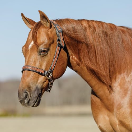Schneiders Double S Tooled Leaf Padded Leather Ranch Halter for Horses | Elegant Design & Custom Fit for Your Horse - size: Full Horse