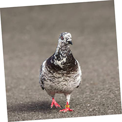 Happyyami 18pcs Bird Leg Bands Pigeon Foot Bands Aluminum Material Bright Identification Rings for Pigeons Birds Random Color