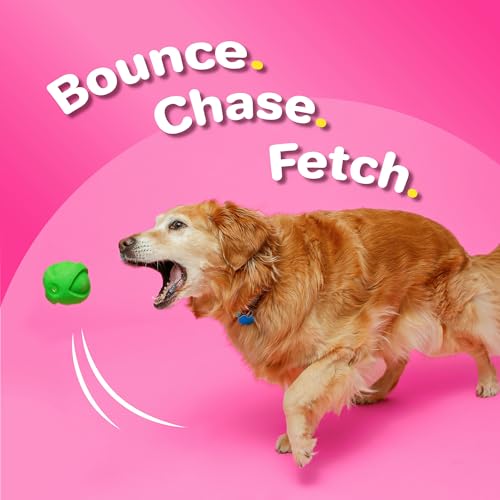 Hartz DuraPlay Ball Squeaky Latex Dog Toy, Neon Green, Neon Pink & Neon Orange, Large 3 Count Pack - size: 3 Count, style: Large Ball