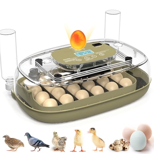 HOWOOlUA 24 Egg Incubator for Hatching Eggs with Auto Turn, Temp & Humidity Control, Built-in Candler Large Capacity Egg Incubator for Chicken Duck Goose Eggs - color: 24-eggs