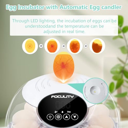 Egg Incubator for Hatching Chicks, Holds 12 Eggs, Automatic Egg Turner with Temperature, Humidity Display, Egg Candler, Automatic Egg Turner, 360 Degree View with Clear Window