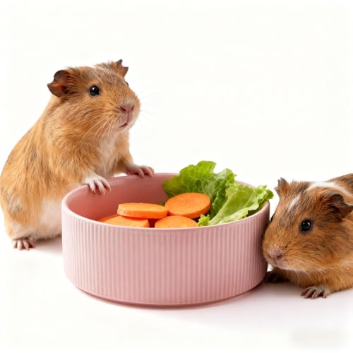 Guinea Pig Vegetable Bowl, Pink Ceramic 6 Inch Heavyweight Non-Tip Small Animal Food & Water Bowl – Wide Shallow Veggie Dish (~20 fl oz) for Chinchilla Rabbit Ferret