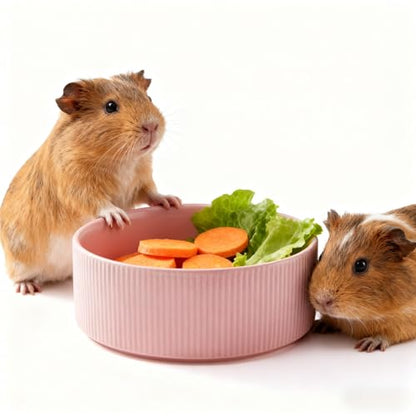 Guinea Pig Vegetable Bowl, Pink Ceramic 6 Inch Heavyweight Non-Tip Small Animal Food & Water Bowl – Wide Shallow Veggie Dish (~20 fl oz) for Chinchilla Rabbit Ferret