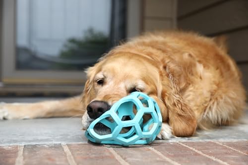 JW Pet HOL-ee Roller™, Dog Toy Puzzle Ball, Natural Rubber, Large (5.5” Inch Diameter), Blue - color: Blue, size: 5.5 Inch
