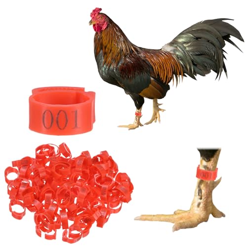 M METERXITY 100-Pack Adjustable Chickens Leg Bands, 17-22 mm Plastic Poultry Identification Chicken Leg Rings for Turkey/Duck/Goose/Chicks, Colorful Numbered Foot Clip on Tags [Red] - color: Red
