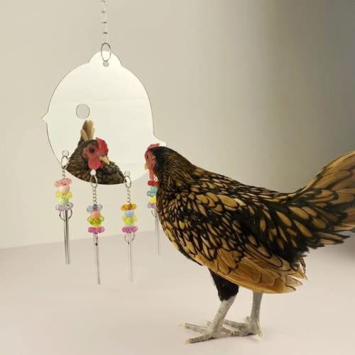 ansu Chicken Toy Pet Birds Swing Mirror Toys with Bells Macaw Cockatoo Parakeet Tool