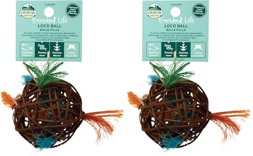 Oxbow Enriched Life Loco Ball, Rabbit Toys, Guinea Pig Toys, Enrichment for Bunny, Hamster, Rabbit, Chinchilla, Rat, Chinchilla Cage Accessories, Guinea Pig Accessories for Cage (Pack of 2) - size: 1 Count (Pack of 2)