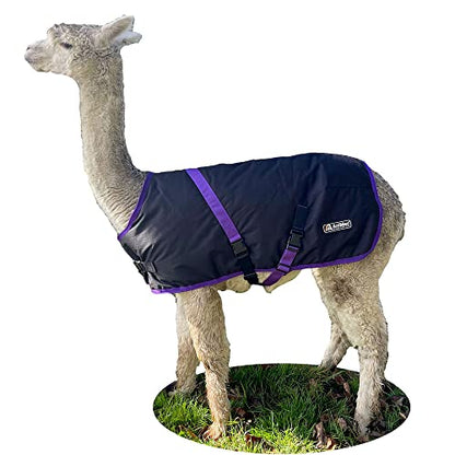 AniMac Super Calf Jacket for Calves, Sheep, Alpaca, Goats and Dogs – Premium Waterproof Livestock Coat – Breathable – Synthetic – Machine Washable - size: Medium