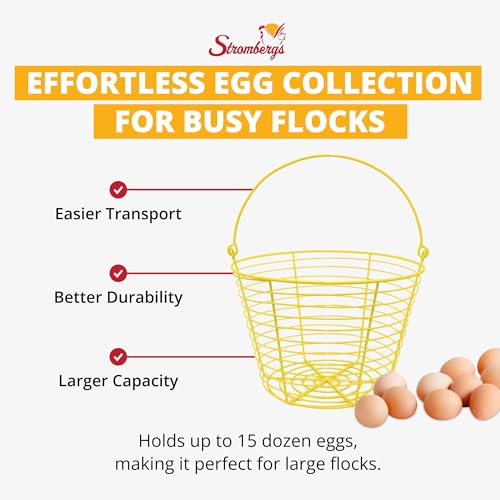 Extra Large Yellow Basket for Egg Collecting, Holds 15 Dozen Eggs, Metal Wire Holder for Farm Fresh Egg Collecting, Durable Poultry Supplies.