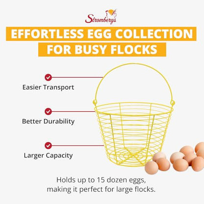 Extra Large Yellow Basket for Egg Collecting, Holds 15 Dozen Eggs, Metal Wire Holder for Farm Fresh Egg Collecting, Durable Poultry Supplies.