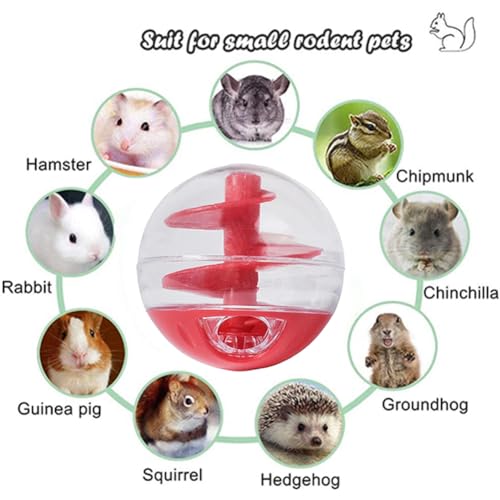 Ferret Interactive Toy Slow Feeding Dry Food Treat Balls Enrichment Toys for Small Animal Cats Guinea Pig Rat Chinchilla Hedgehog Bunny (1PC,Red) - size: 1PC
