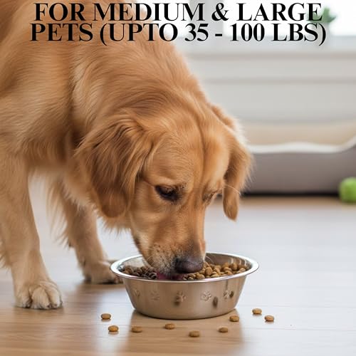 2-Pack Stainless Steel Dog Bowls, 9" Wide, 3" Height ~ Pet Food, Water Dish fits Raised Pet Feeder with Hole Width 8.3" to 8.7" - color: Double Pack, size: 8 cup (Embossed)