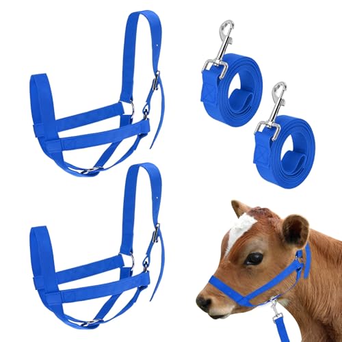 M METERXITY 2-Pack Adjustable Cattle Cow Calf Halter, 16.54"-20.47" Nylon Livestock Cow Halter with Leading Rope for Miniature Horse/Donkey/Goat/Cattle [Blue] - color: Blue, size: 16.54"-20.47"