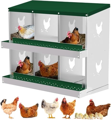 Chicken Nesting Box with 6 Compartments, Durable Metal Laying Box with Perch and Secure Lid, Versatile Wall Mounted or Free Standing Design, Easy to Clean Chicken Coop Accessory, Green