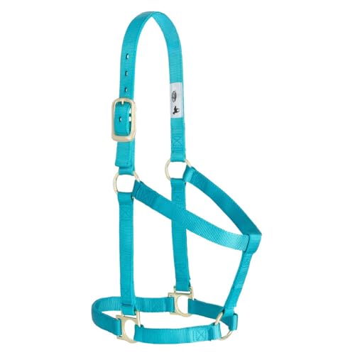 Weaver Equine Nylon Horse Halter, Comfort Double-Ply Webbing, Basic Non Adjustable Halters for Horses, Equine Tack,Average Size, Turquoise - color: Turquoise, size: 1" Average Horse