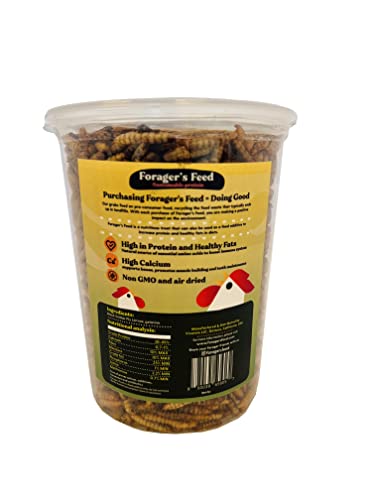 Peck & Play - Chicken Treat Cup