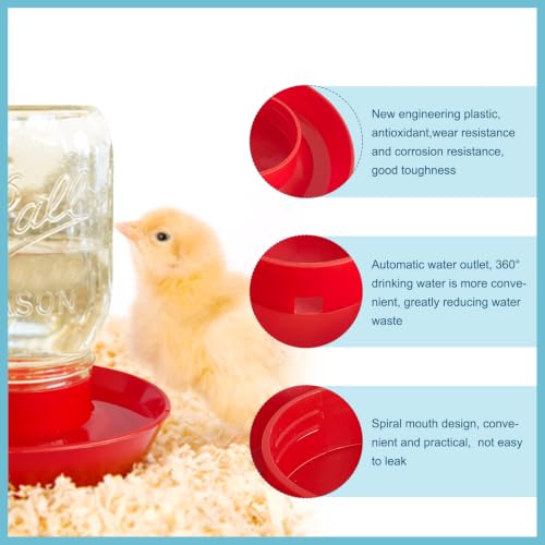 No Drown Screw-On Chick Waterer and Feeder Base Quail & Chick Compatible with 1 Little Pint Threaded Neck Bottle（Bottle not Included